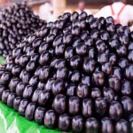 Jamun: Incredible Health Benefits