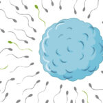 How to Improve Male Fertility and Sperm Quality?