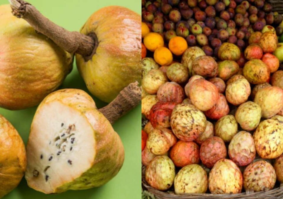 Ramphal Fruit: Health Benefits, Uses And Recipes